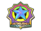Distinguished Master Guardian (Holo) image